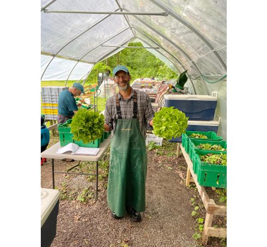 Farmer holding lettuce