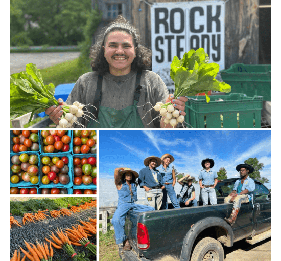 Team member holding bunches of hakurei turnips, Rock Steady Team dressed up as denim cowboys, cherry tomatoes, and bunched carrots