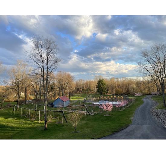 Back4Farm from above April 20, 2024